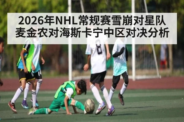 2026年NHL常规赛雪崩对星队麦金农对海斯卡宁中区对决分析